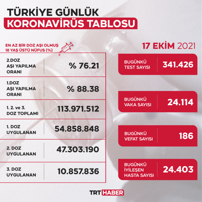 عدد الحالات 24 الفا 114