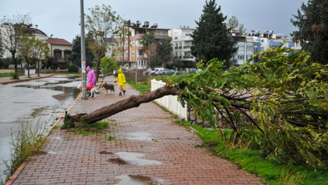Antalya'da hızı 130 kilometreyi bulan fırtına: Çatılar uçtu, yol çöktü