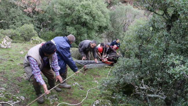 Uçuruma yuvarlanan ineği itfaiye kurtardı