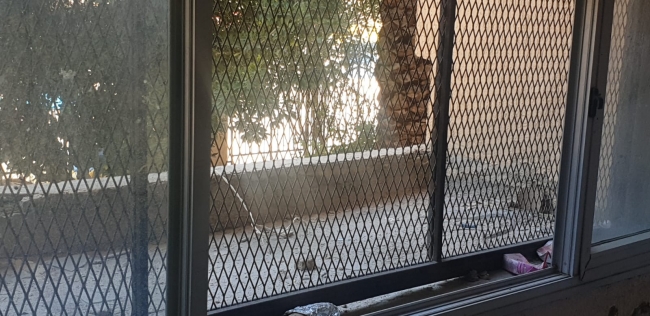 Hafter okullara da saldırıyor