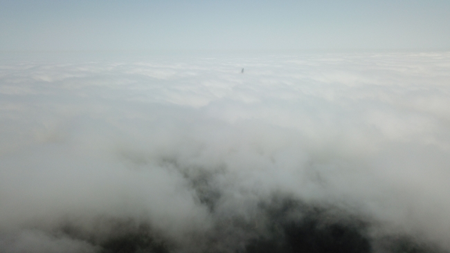 Boğazda sis engeli: Yüzlerce gemi sıra bekliyor
