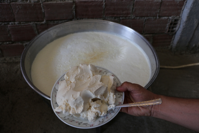 Hassas bağırsak hastalığının çaresi 'ev yapımı yoğurt'