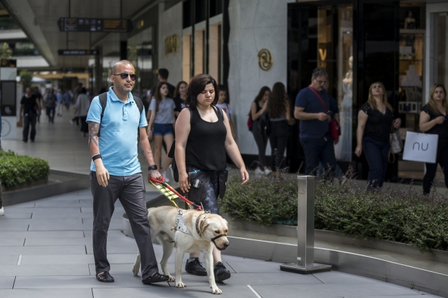 Rehber köpeği gazinin kaybettiği gözleri olacak