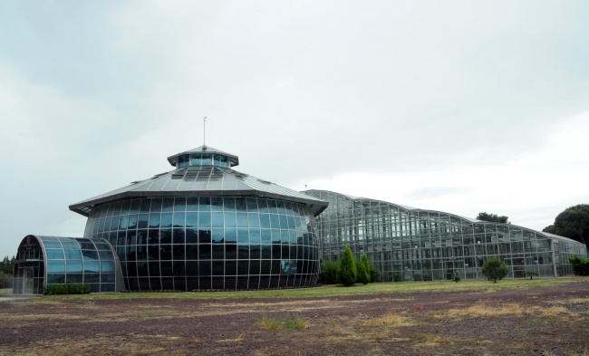 Yurt dışına kaçırılmak istenen 200 bitki türü koruma altında