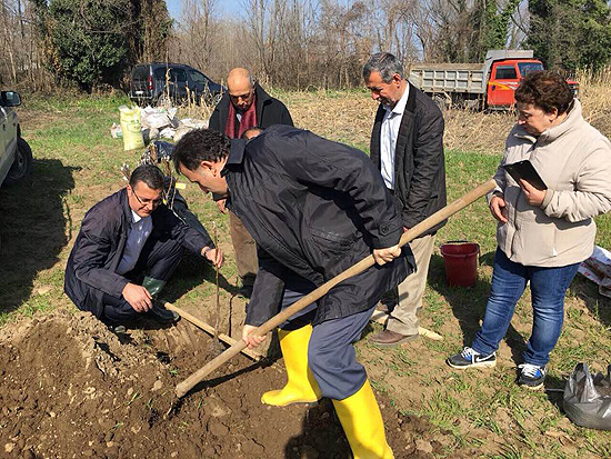 Fındık üreticisi cevizle kazancını ikiye katlayacak