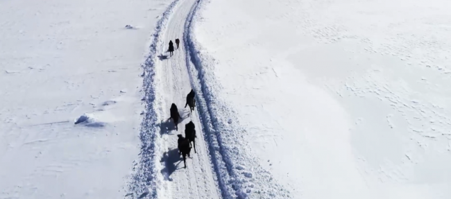 Atlar kar üstünde yarışlara hazırlanıyor