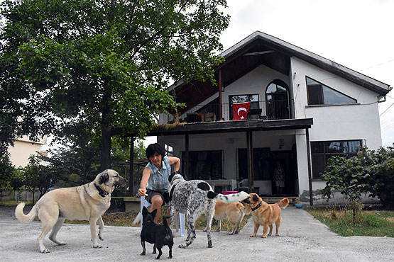 Emekli maaşını sokak hayvanları için harcıyor