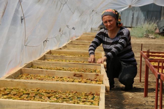 Anne-kız 'incir cipsi' ile girişimci oldu