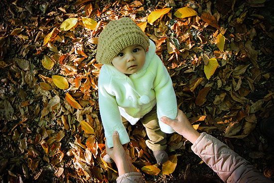 Domaniç Dağları sonbaharın renklerine büründü