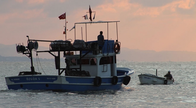Balıkçıların yüzü tekirle güldü
