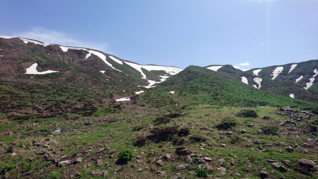 2 bin 700 metre rakımda ışkın topluyorlar