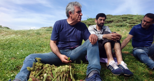 2 bin 700 metre rakımda ışkın topluyorlar