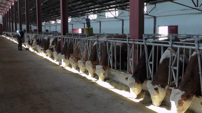 2 milyon lira devlet desteğiyle tesis sahibi oldu