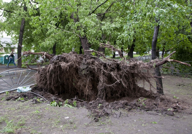 Rusya'da 16 kişi fırtınada öldü