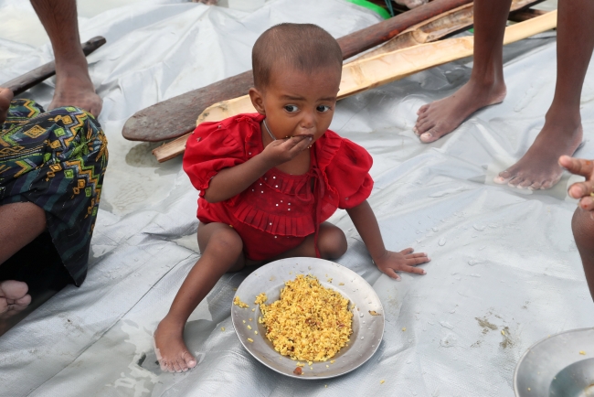 Arakan kararı BM Genel Kurulu'nda kabul edildi