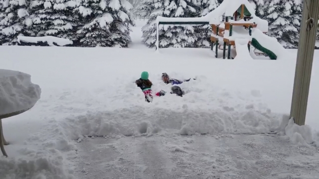 Kar ve dondurucu soğuklar ABD'yi esir aldı