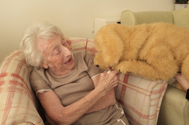 Robotik köpek "Bisküvi" bakımevindeki yaşlılara destek oluyor