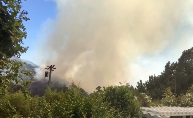 ABD'de orman yangınları giderek büyüyor