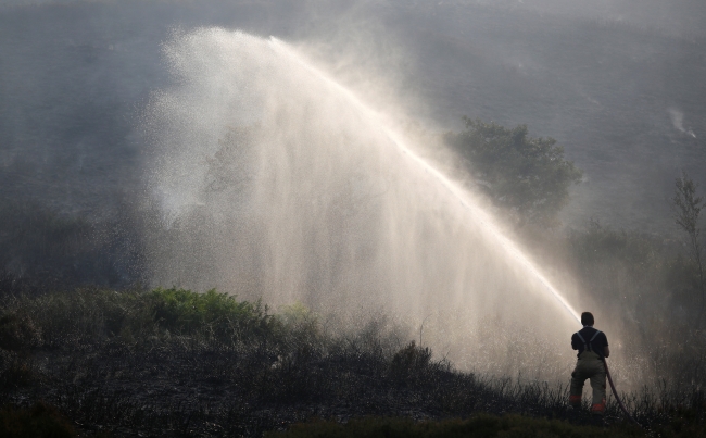 İngiltere'deki orman yangını yerleşim bölgelerine ulaştı