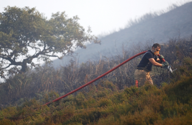 İngiltere'deki orman yangını yerleşim bölgelerine ulaştı