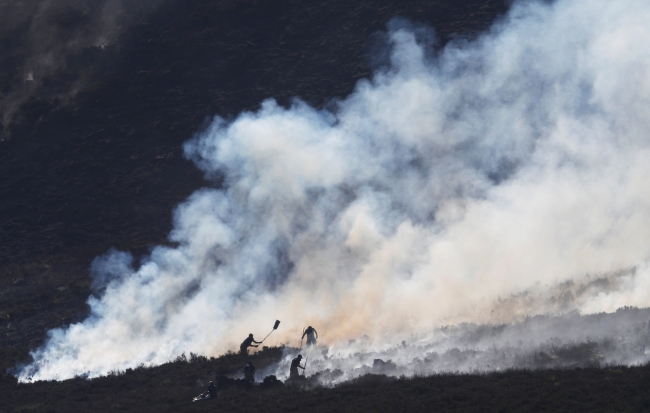 İngiltere'deki orman yangını yerleşim bölgelerine ulaştı