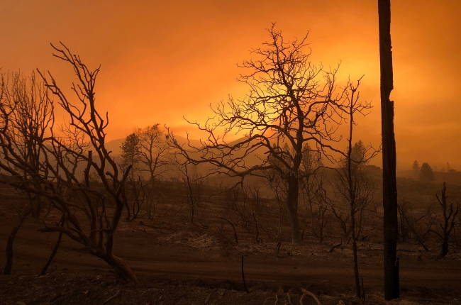 California’da yangınlar sebebiyle OHAL ilan edildi