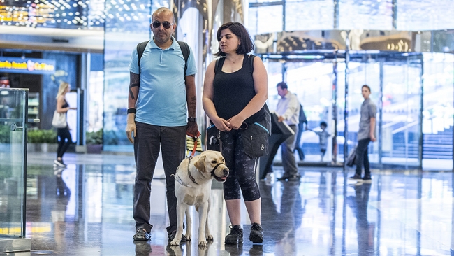 Rehber köpeği gazinin kaybettiği gözleri olacak
