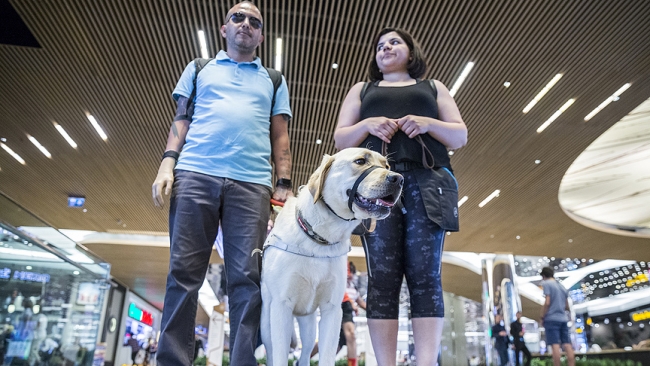 Rehber köpeği gazinin kaybettiği gözleri olacak