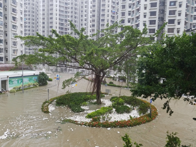 Çin'de Mangkhut tayfunu nedeniyle kırmızı alarm