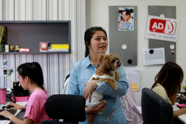 Tayland'da bir reklam ajansının sevimli çalışanları