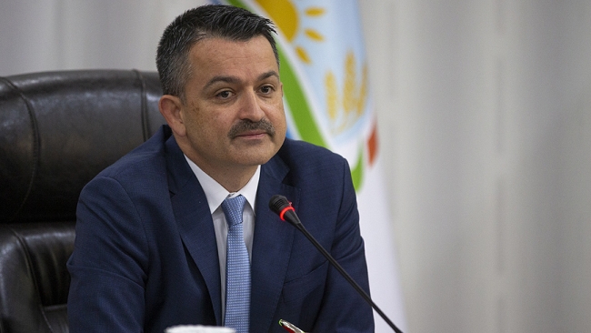 Antep fıstığında rekor artış müjdesi