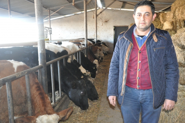Çiğ süt fiyatlarındaki artış üreticileri sevindirdi
