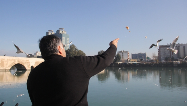 Martıların ekmek savaşı kartpostallık görüntüler oluşturdu