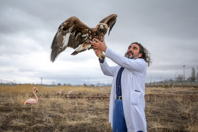 Yaban hayvanları rehabilitasyon merkezinde yaşama tutunuyor