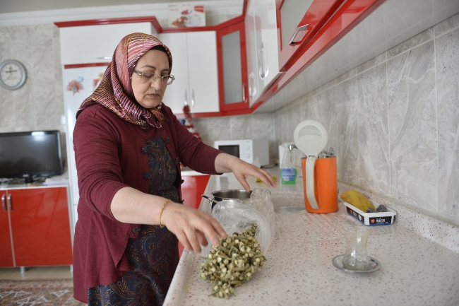 Mardinli 61 yaşındaki Azize teyzenin okuma aşkı