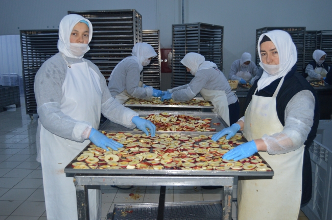 Afyonkarahisar'dan 13 ülkeye "meyve cipsi" ihracatı