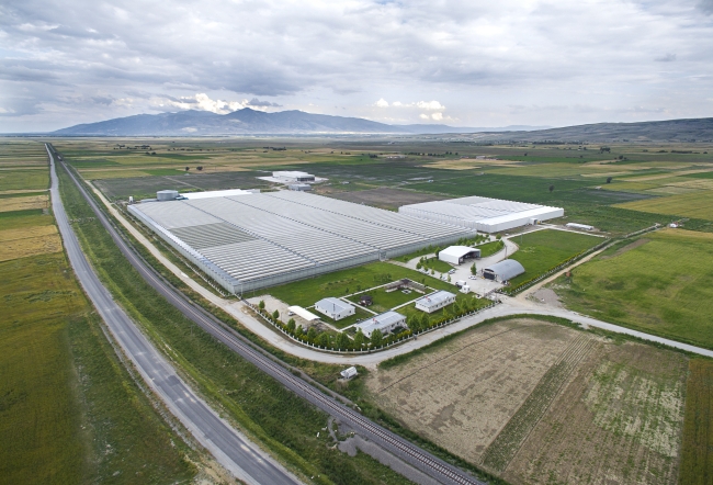 Afyonkarahisar'dan 13 ülkeye "meyve cipsi" ihracatı