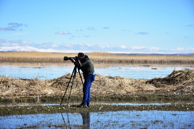 Sazlık Gölü'nde "turna nöbeti" tutuluyor