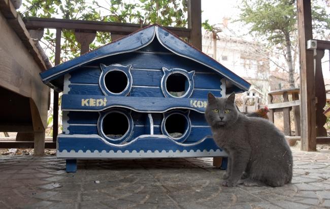 "Kuşların müteahhidi" 30 yıldır yuva üretiyor