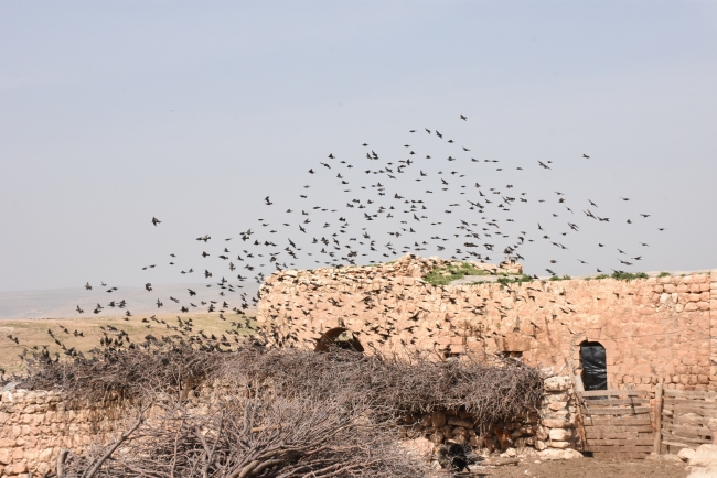 PKK saldırısında ölenlerin yakınlarından Mehmetçik'e destek