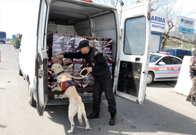 Aydın'da drone destekli 'huzur' operasyonu: 85 gözaltı