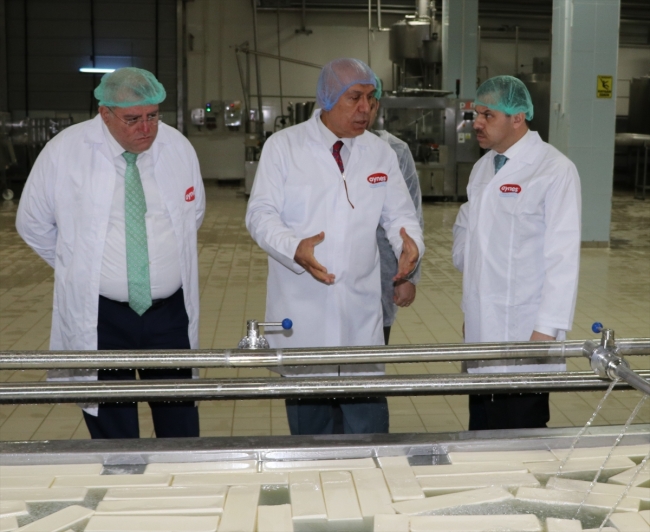 FETÖ'den TMSF'ye devredilen Aynes, cirosunu yüzde 40 artırdı