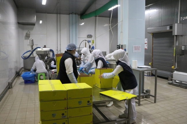 FETÖ'den TMSF'ye devredilen Aynes, cirosunu yüzde 40 artırdı