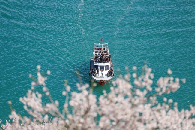 Çiçeklere bürünen Akdamar Adası ziyaretçi akınına uğruyor