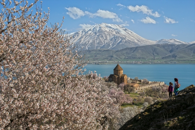 Çiçeklere bürünen Akdamar Adası ziyaretçi akınına uğruyor