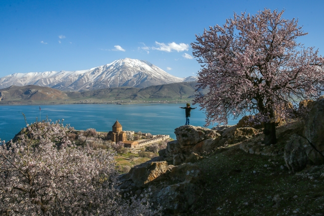 Çiçeklere bürünen Akdamar Adası ziyaretçi akınına uğruyor