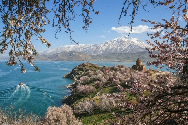Çiçeklere bürünen Akdamar Adası ziyaretçi akınına uğruyor