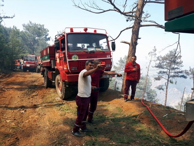 Teröristler, ormanı ateşe verdi