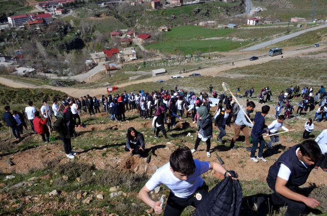 Afrin şehitlerinin adı Dideban Dağı'nda yaşatılacak