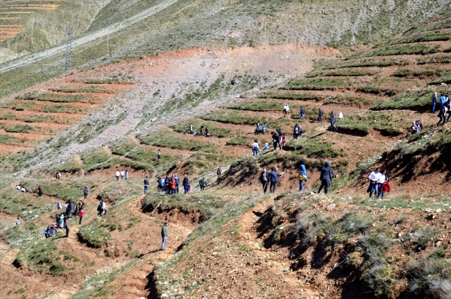 Afrin şehitlerinin adı Dideban Dağı'nda yaşatılacak